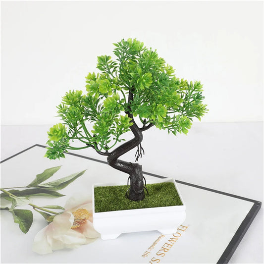 Planta Decoração